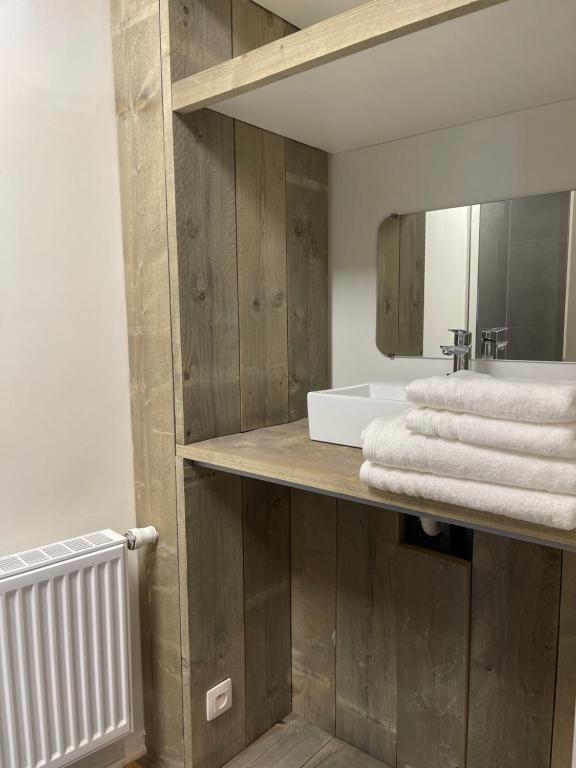 布鲁日Prachtige kamer in centrum Brugge met badkamer !的浴室设有木墙、水槽和镜子