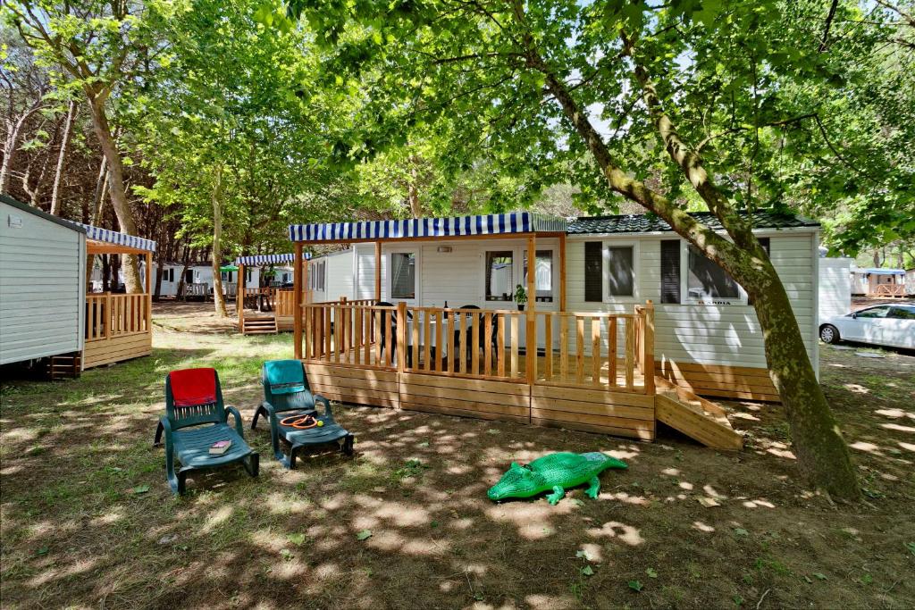 瓦尔肯里德KNAUS Campingpark Walkenried的一个带两把椅子的院子,一个房子和一棵树