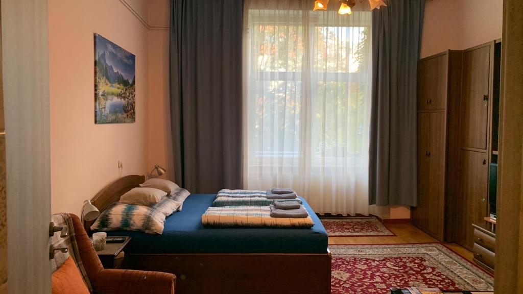 布达佩斯Eliz Apartment的卧室在窗户前配有一张床