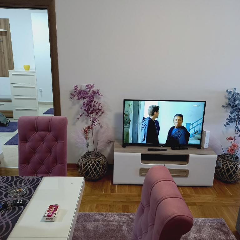弗尔沙茨Stan na dan VRŠAC的客厅配有台面上的平面电视
