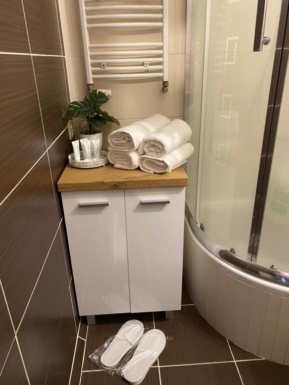 马佐夫舍地区新庄园Studio Modlin的一间带毛巾和浴缸的台面的浴室