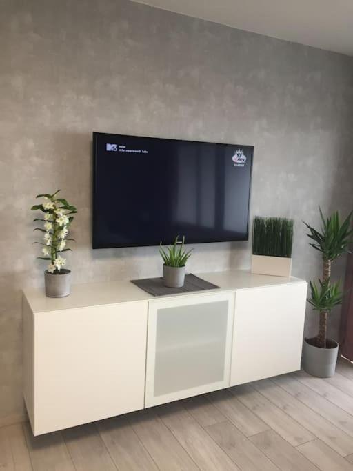 布伦瑞克Modern eingerichtetes Apartment Nähe Hauptbahnhof的白色橱柜上的平面电视,内有盆栽植物