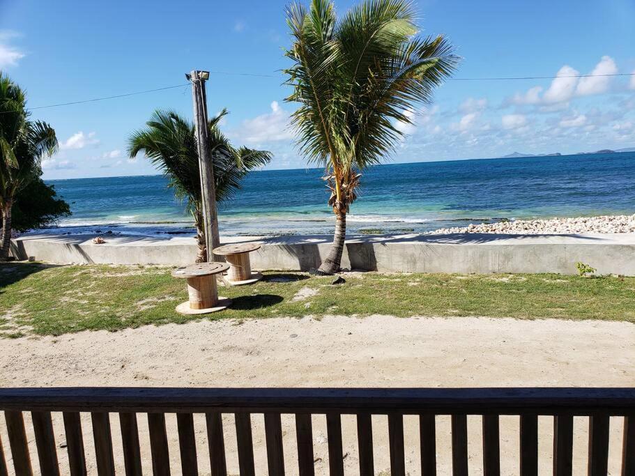 CanouanCozy 2 bedroom beachfront cabin的棕榈树和大海海滩上的长凳