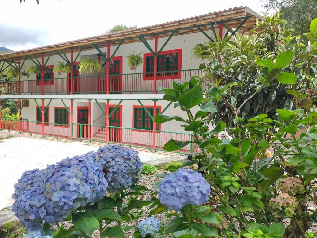 伊瓦格Casa Flórez Hotel Campestre的一座建筑,前方有红色的窗户和蓝色的鲜花