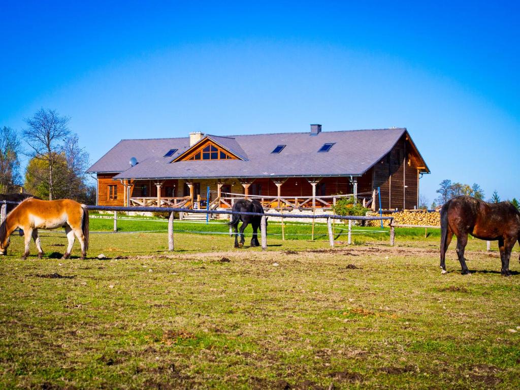 KostrzycaKarkonoskie Siodło的一群马在谷仓前的田野上放牧