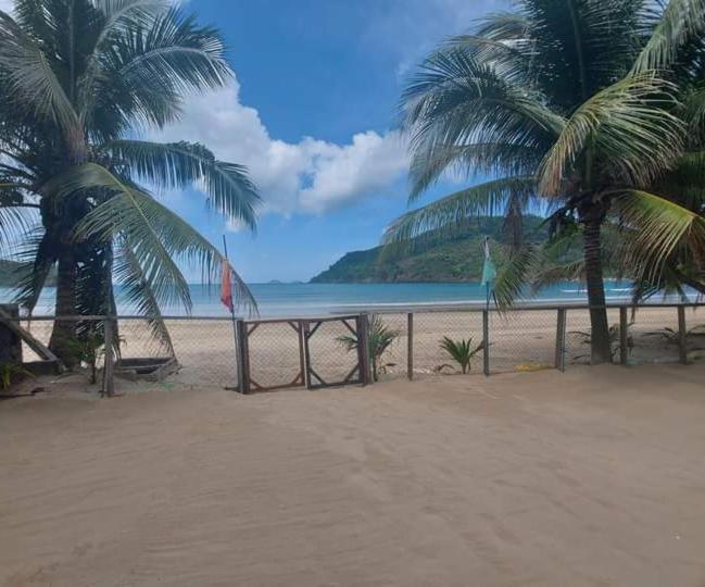 爱妮岛布卡纳海滨宾馆的海滩上的野餐桌,两棵棕榈树