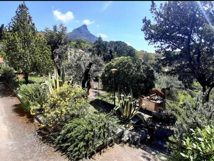 马拉泰亚Casa vacanze da Cristina app B的种有植物和树木的花园