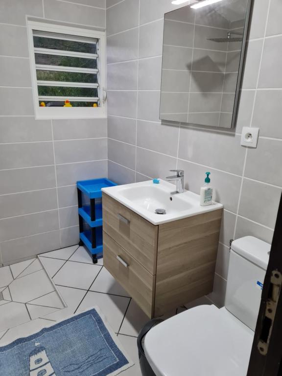 豪特尔Chez Gisèle et Philippe的一间带水槽、卫生间和镜子的浴室
