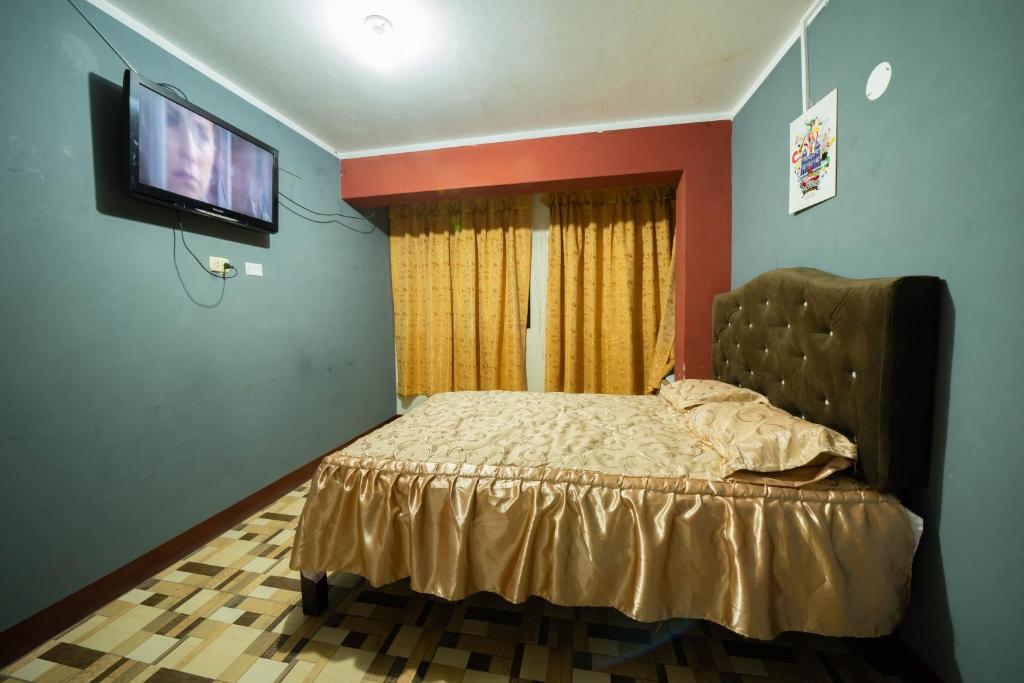 瓦努科HOSTAL TARAPACA的一间卧室配有一张床和一台平面电视