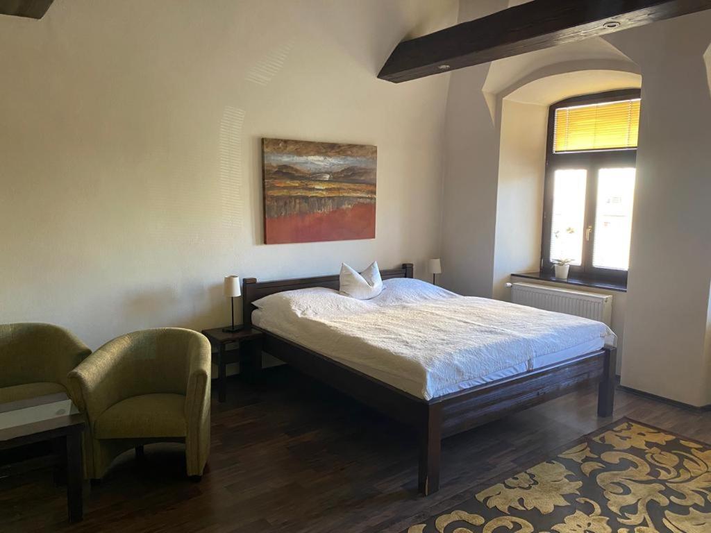 斯皮什新村维努萨旅馆的一间卧室配有一张床和一把椅子