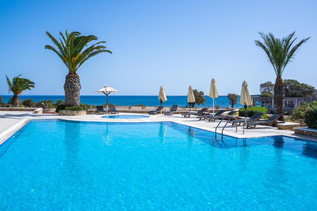 奇波斯阿费提依蕊妮酒店的一座棕榈树和椅子的游泳池以及大海