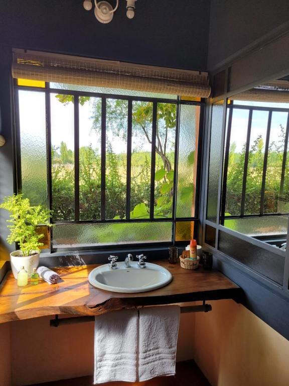 图努扬Finca La Saucina Casa de Campo的一间带水槽和窗户的浴室