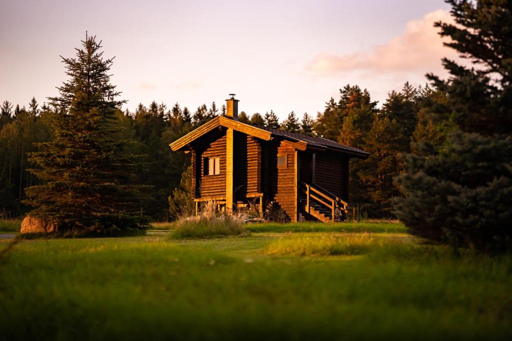 HŭrkyVyhlídkový srub "Na kraji Brd"的树木林立的小型木屋