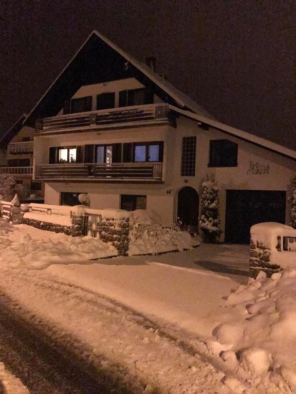 拉夫纳格拉Apartman Bosco的夜晚有雪覆盖的房子