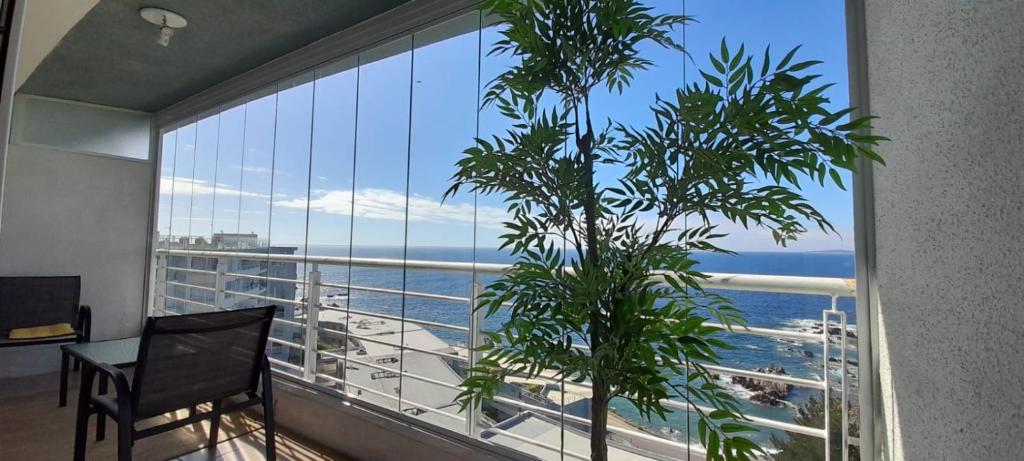 康康Maravilloso departamento con vista panorámica.的客房设有海景大窗户。