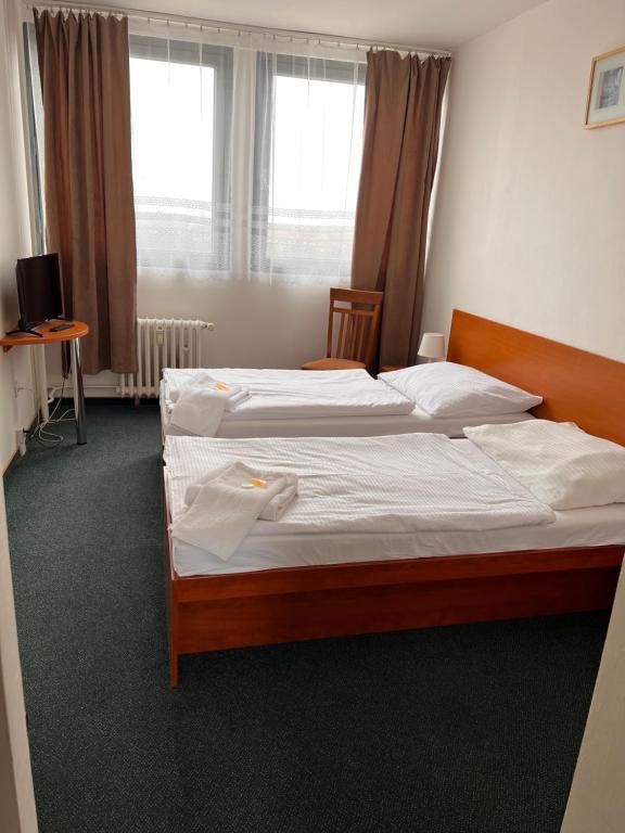 利托梅日采拉贝酒店的带窗户的客房内设有两张单人床。