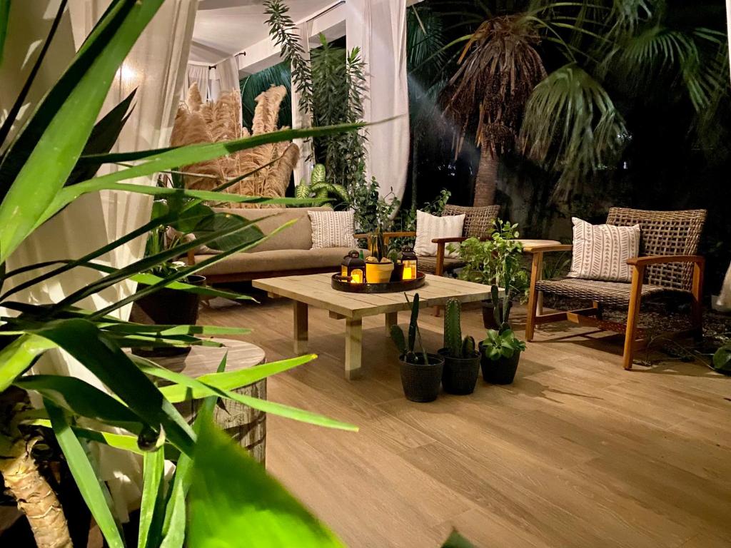 伯利兹城Stylish Apartments near Best Western Hotel的一个带桌子和一束植物的庭院
