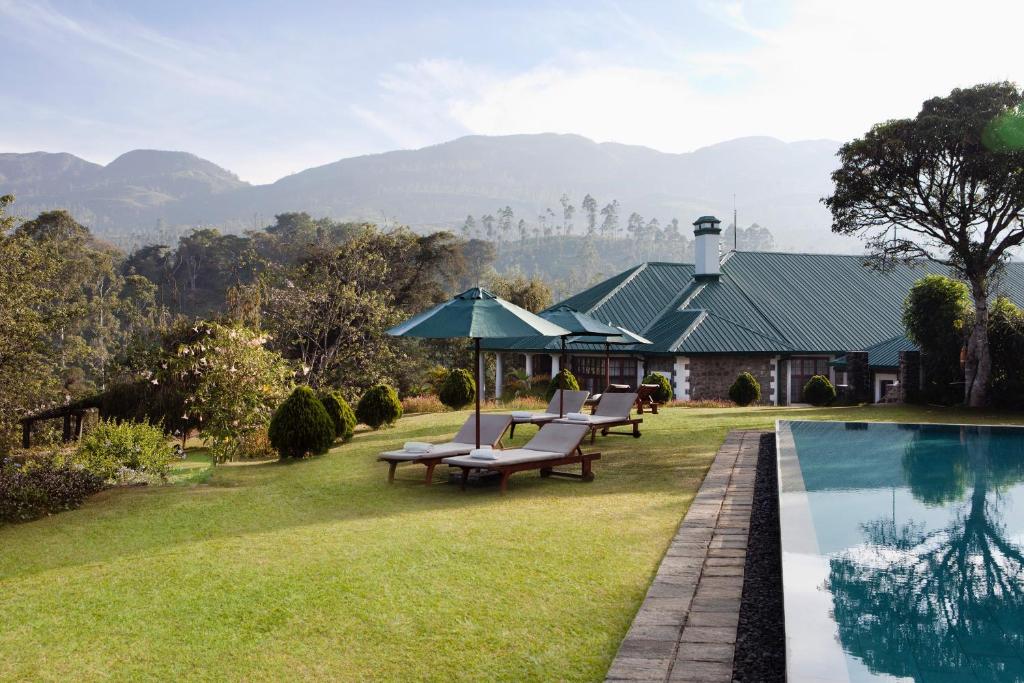 哈顿Ceylon Tea Trails的一座房子,设有游泳池、椅子和遮阳伞