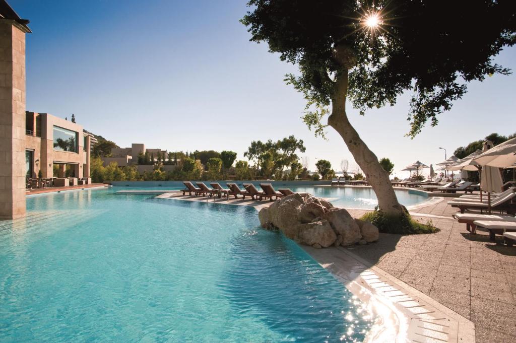 依克希亚Rhodes Bay Hotel & Spa的一个带躺椅的游泳池以及一棵树