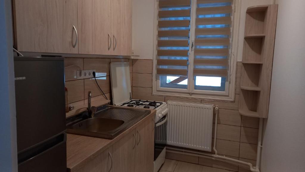 BorzontBükkfői vendégház的厨房配有水槽、炉灶和窗户。