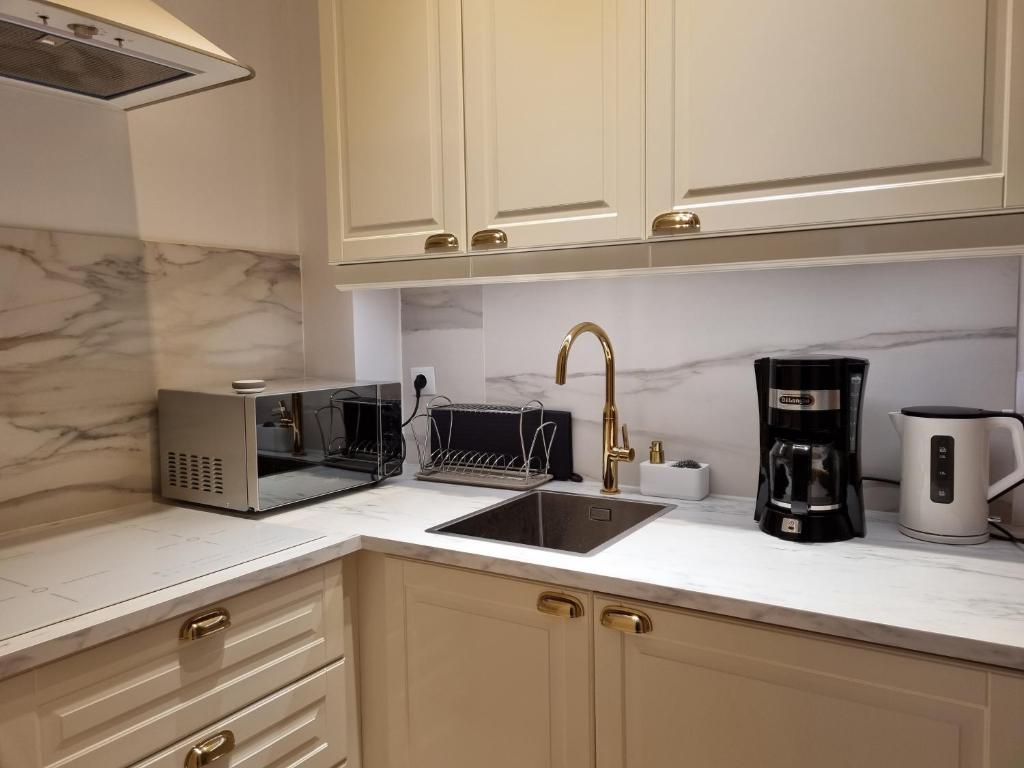 波兹南Apartament w kamienicy的厨房配有白色橱柜、水槽和微波炉