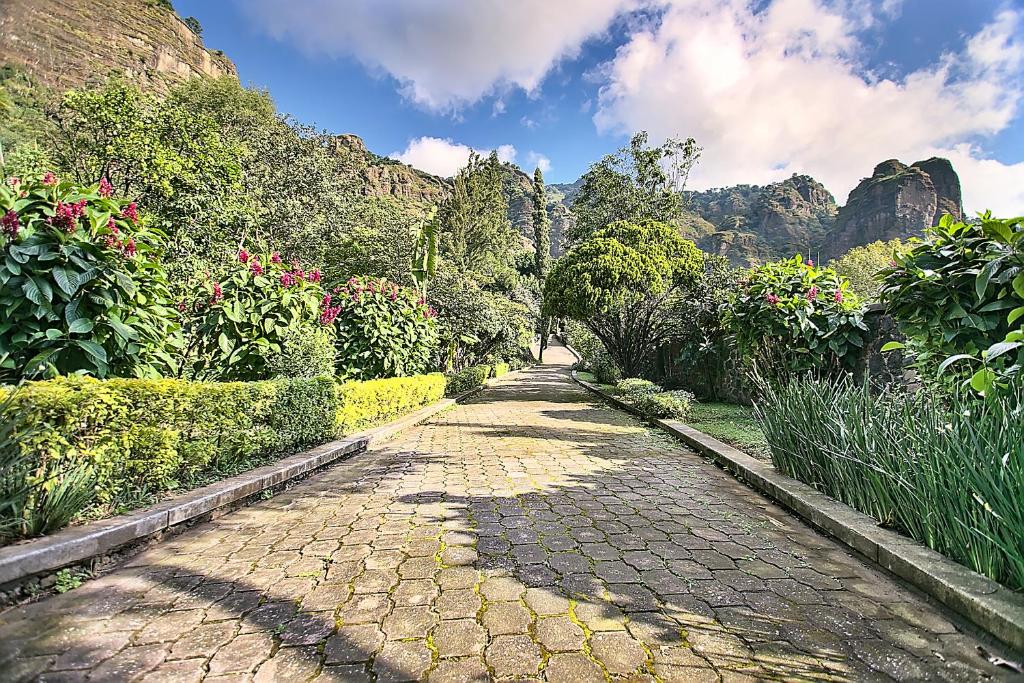 迪坡斯特兰Casa Jacobina Tepoztlán的山 ⁇ 花园中的鹅卵石路径