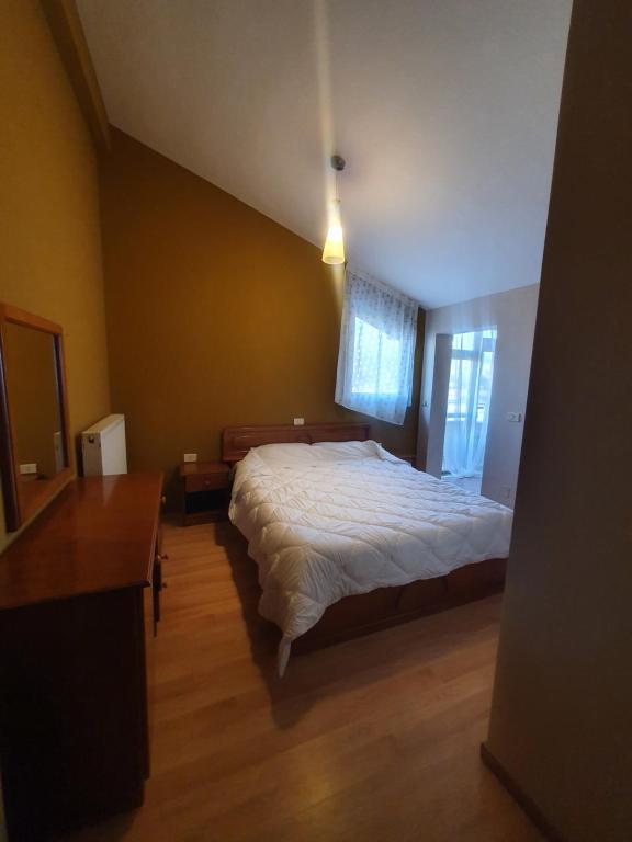 TushemishtHotel Tirona的一间卧室设有一张大床和一个窗户。