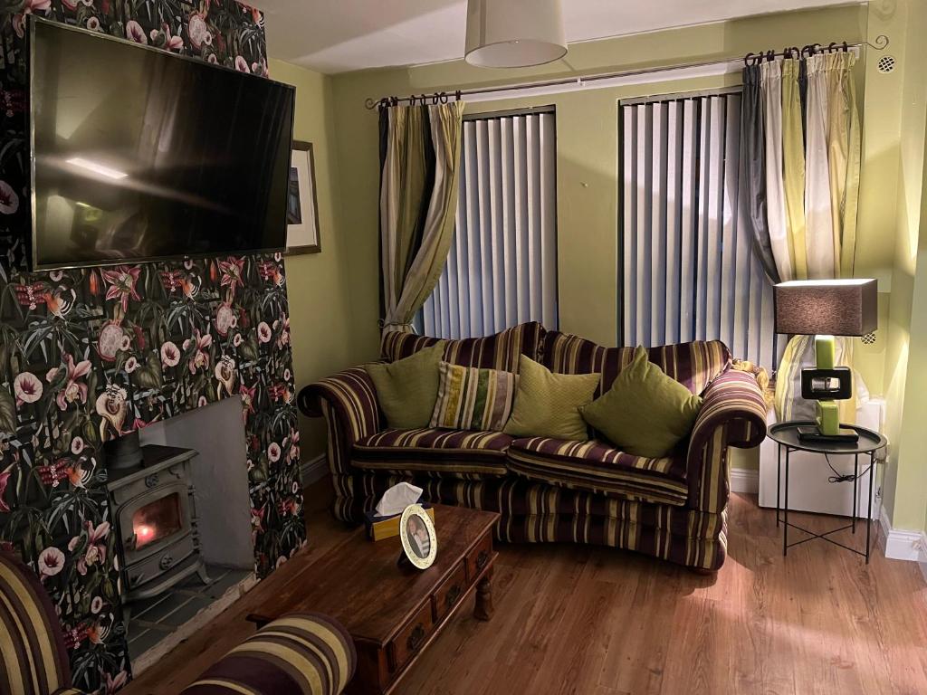 贝尔法斯特11 Parkmore Street, Ormeau Road, Belfast, BT7 2GT, 2 bedroom House的带沙发和壁炉的客厅