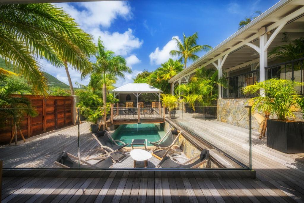 圣马丁岛La Villa Hibiscus, Saint Martin的一座带游泳池和棕榈树的房子