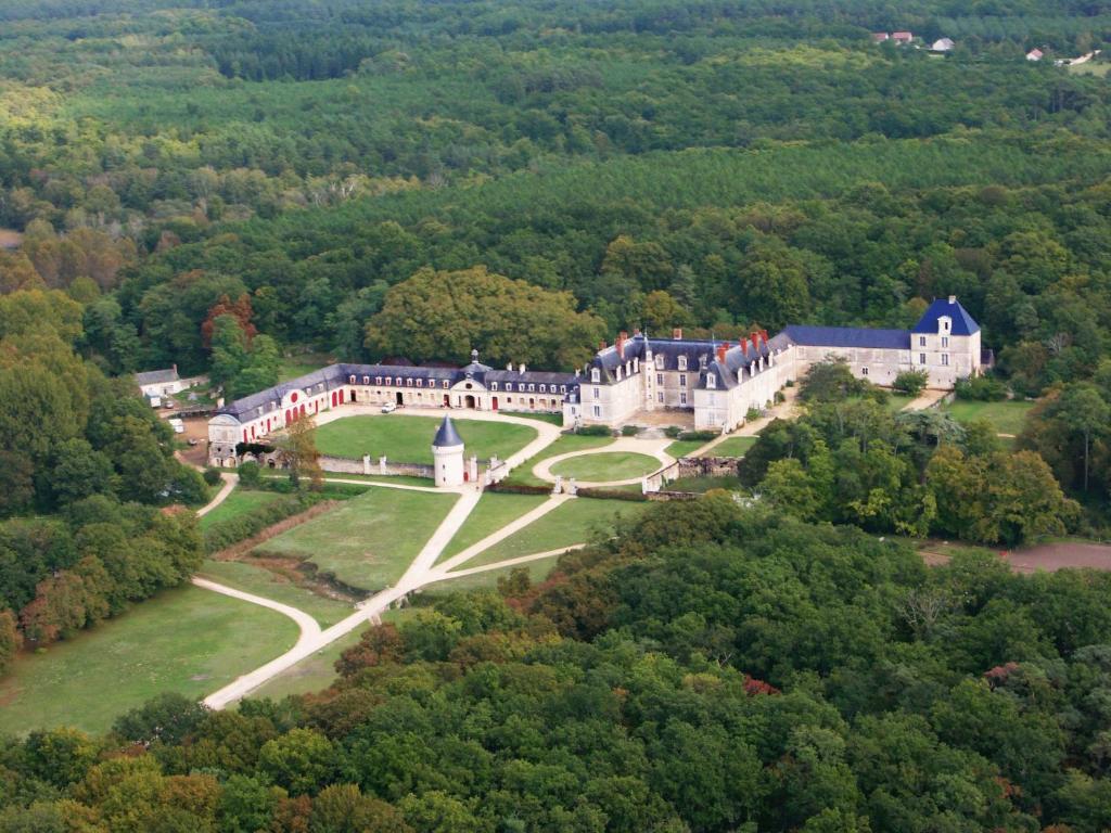 GizeuxChambres d'hôtes au Château de Gizeux的树林中豪宅的空中景观