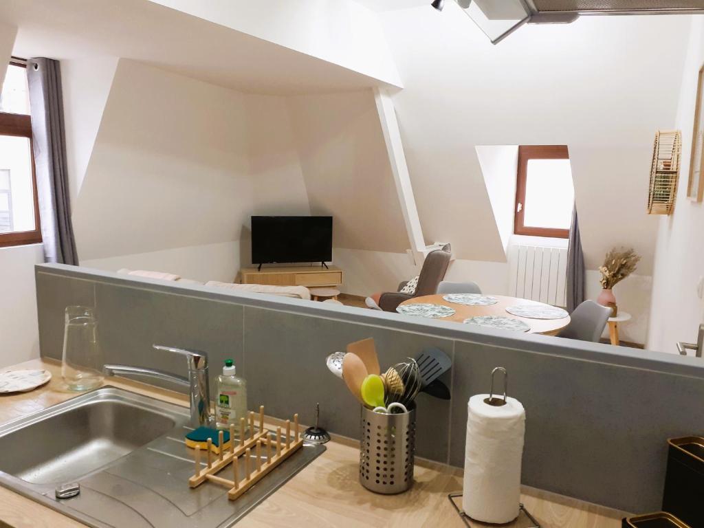里尔Appartement 48m² / HyperCentre (Gares et Vieux Lille)的一个带水槽的厨房和一间客厅