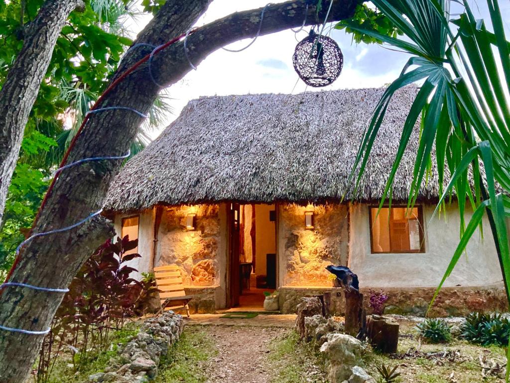 TzucacebEncantadora Villa Maya tradicional en Rancho Agroecologico的茅草屋顶的小房子