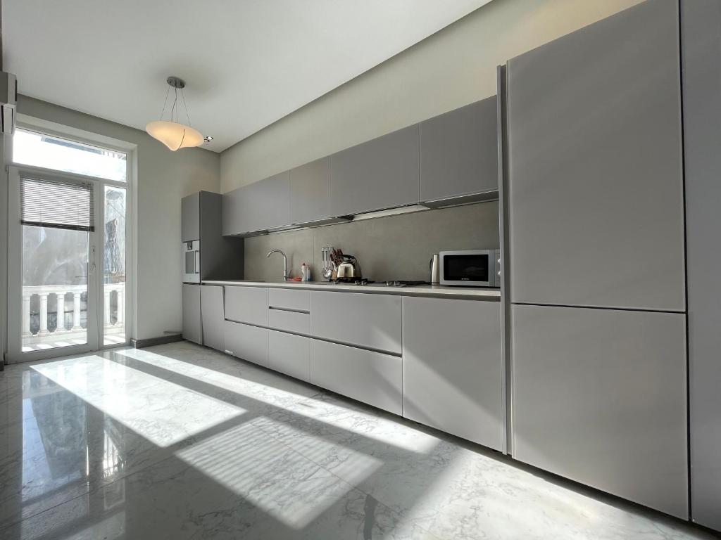 巴库Central Park apartment的厨房配有灰色橱柜和大窗户
