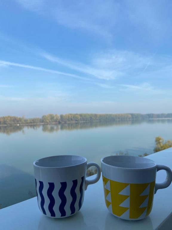 武科瓦尔Danube的两杯坐在桌子上,享有水景