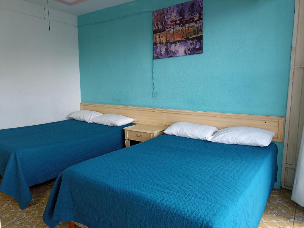 伊拉普阿托Hotel Viena的蓝色墙壁客房的两张床