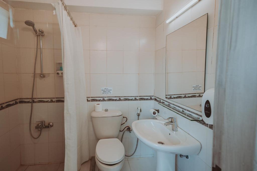 瓦迪穆萨Nomads Hotel Petra的一间带卫生间和水槽的小浴室