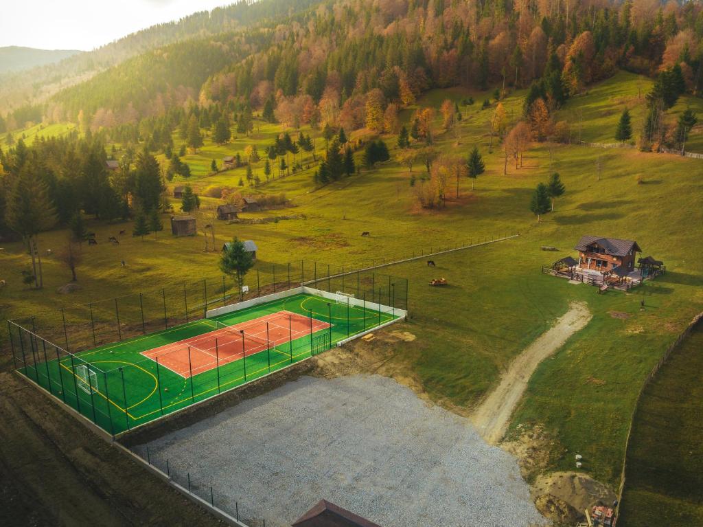 Poiana TeiuluiCabana TYF Dreptu - TYFTRAVEL SRL的球场上的网球场空中景观