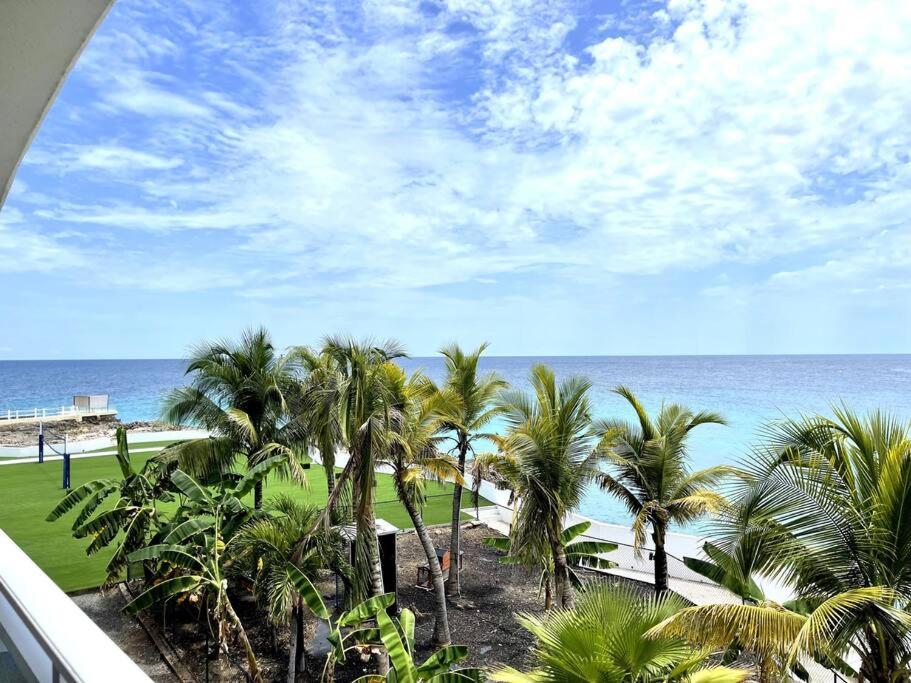 马霍礁Sand Bar Condo - 1BR Suite next to The Morgan Resort的享有棕榈树海滩和大海的景色