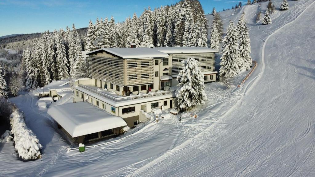 特雷芬Hotel Alpenrose Gerlitzen的一座有树木的雪盖斜坡上的大型建筑