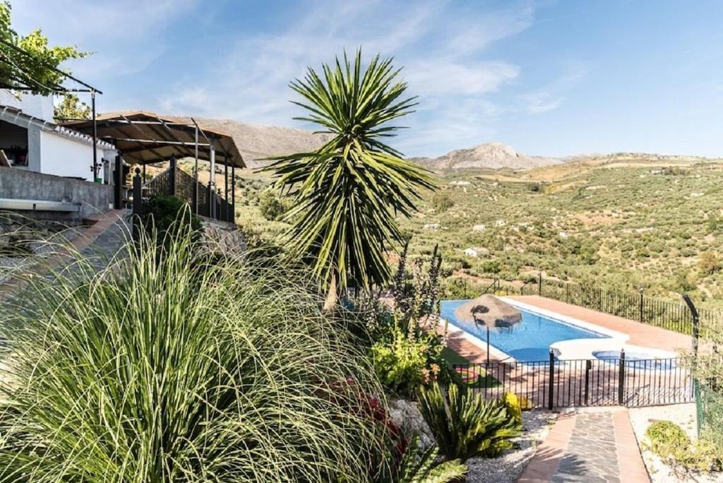 佩里那Cortijo Cabrilla的一座带游泳池和棕榈树的房子