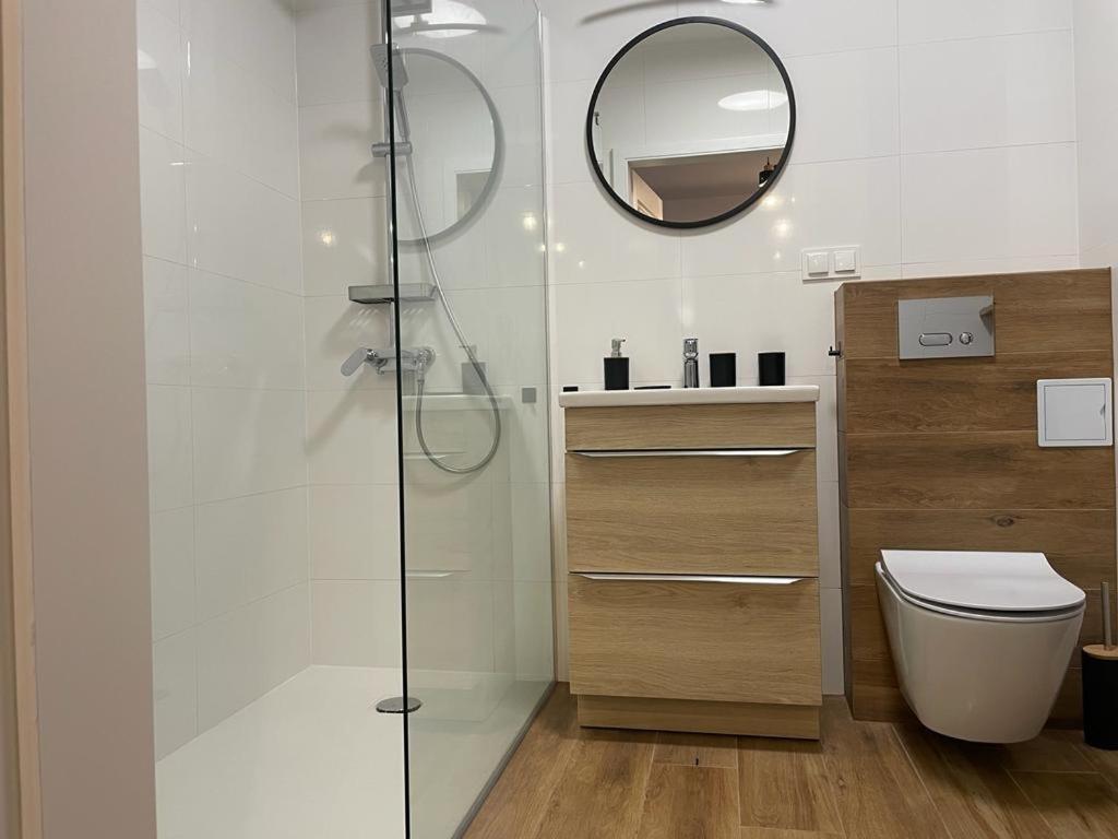 弗罗茨瓦夫The Botanic Corner Apartment的带淋浴、卫生间和镜子的浴室