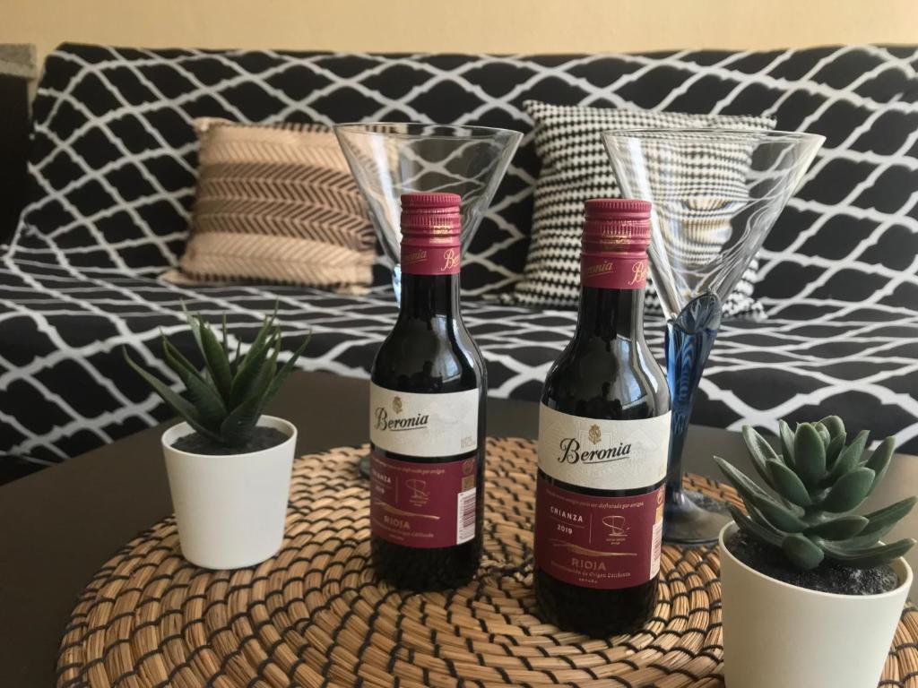 哈罗Apartamento Haro Wine Experience的两瓶葡萄酒坐在桌子上,放着植物
