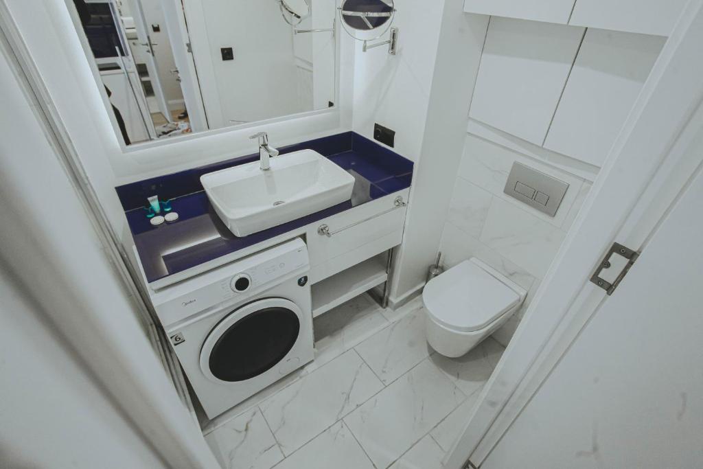 巴统Come a Lot Aparthotel Batumi的一间带水槽和卫生间的小浴室