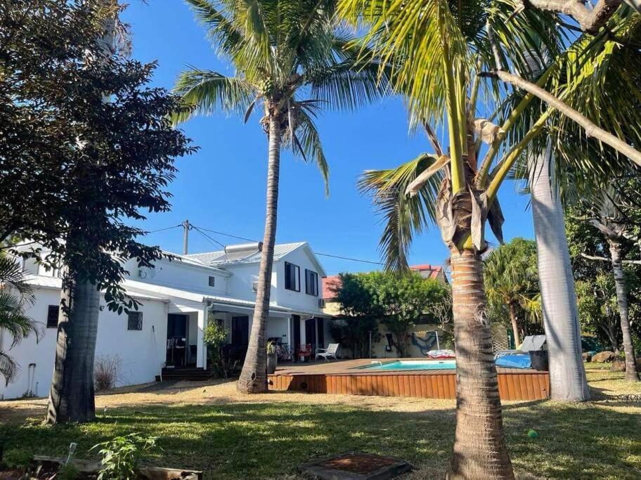 Le Bois de NèflesVilla Jujubes的棕榈树和游泳池的房子