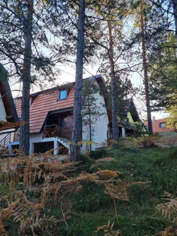 卡鲁德杰尔斯科巴尔Šumor šume - Tara的树林中一座红色屋顶的房子