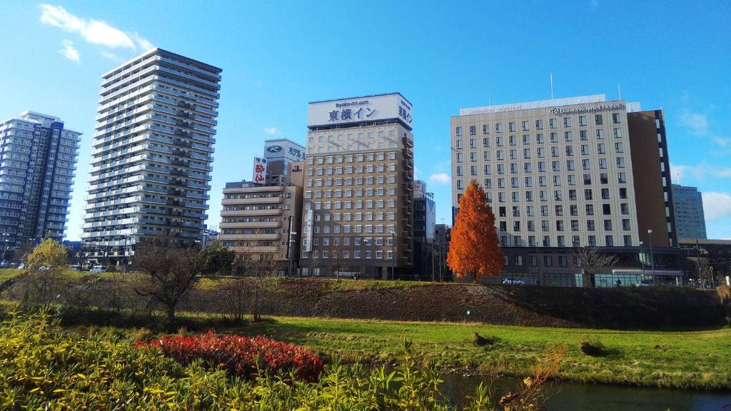 盛冈Toyoko Inn Morioka eki Minami guchi Ekimae的城市中一群高大的建筑