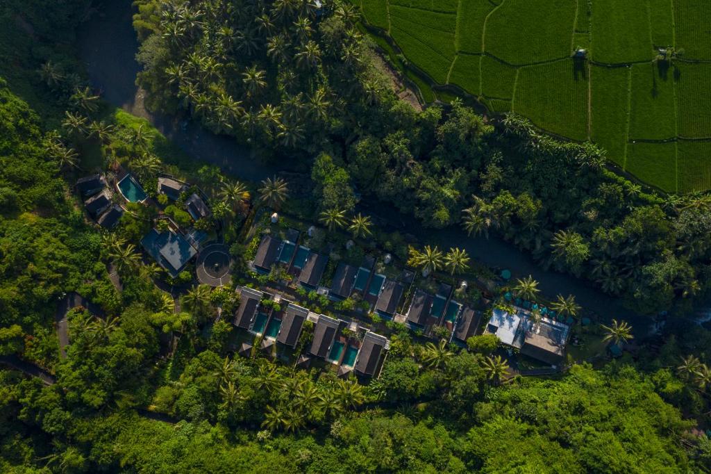 乌布萨玛亚乌布达酒店的棕榈树房屋的顶部景色