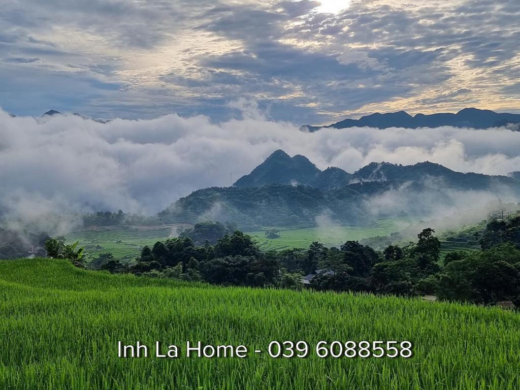 Pu LuongInh La Home Pu Luong的一片绿地,有云和山的背景