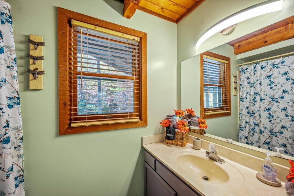 Barenberg Cabin - Secluded Unobstructed Panoramic Smoky Mountains View with Two Master Suites, Loft Game Room, and Hot Tub的一间浴室