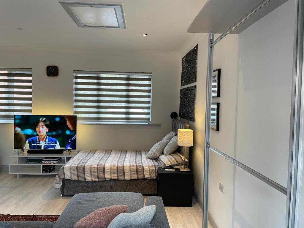 坎姆伯恩Fully Detached Studio Annexe with Double Bed for 2 & Sofa Bed for 2的一间卧室配有一张床和一台电视。